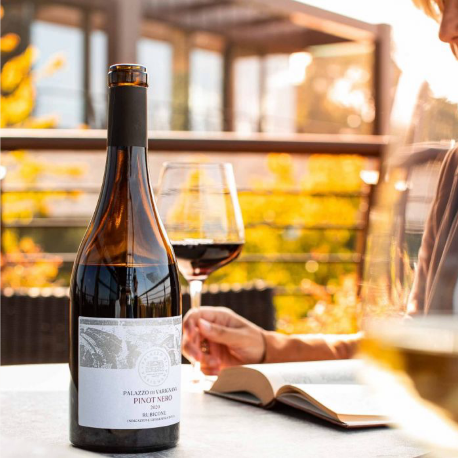 Pinot Nero  Rubicone IGP - Palazzo Di Varignana - 6 x 750ml